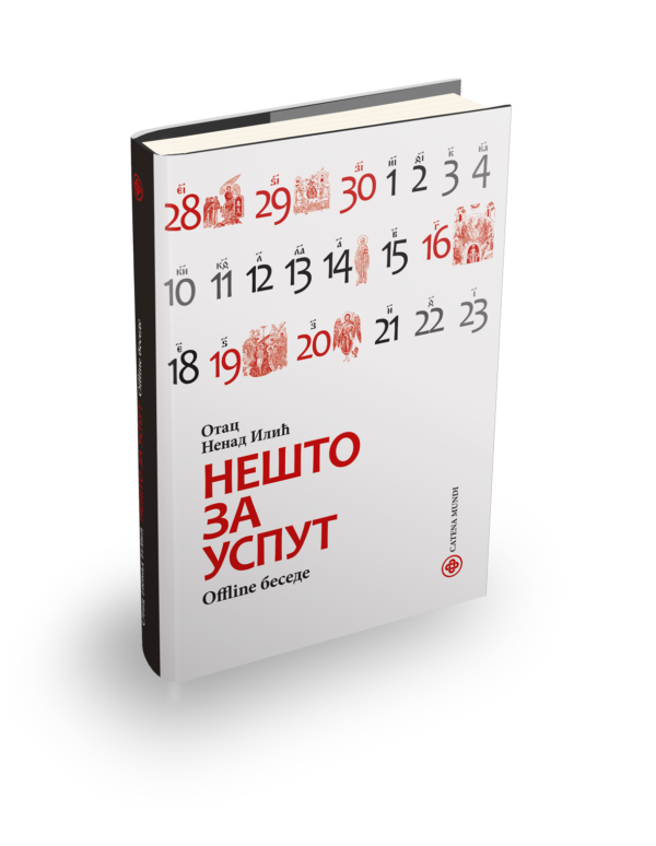 Nenad-Ilic-Nesto-za-usput-600x774.png